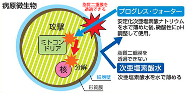 嫌な悪臭も分解